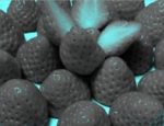 bez-imeni-1