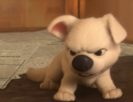 snimok