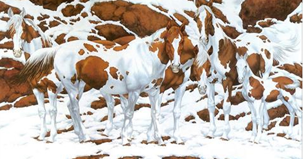 How Many Horses Do You Count In This Tricky Optical Illusion? us