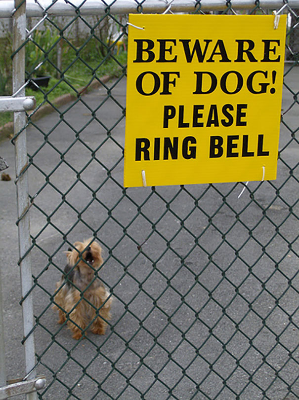 beware-of-the-dog-signs-32-57ee6b80349e5__605