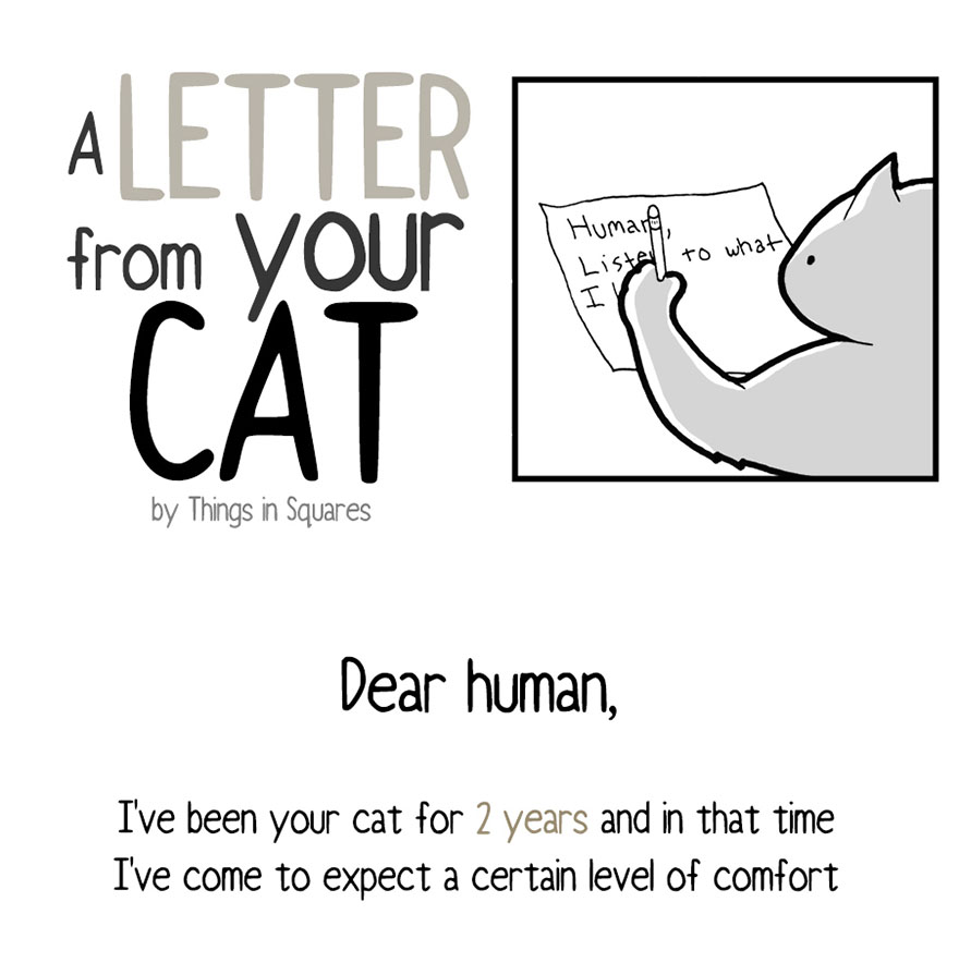 comic-letter-from-cat-things-in-squares-1-597aef7e1da0c__880
