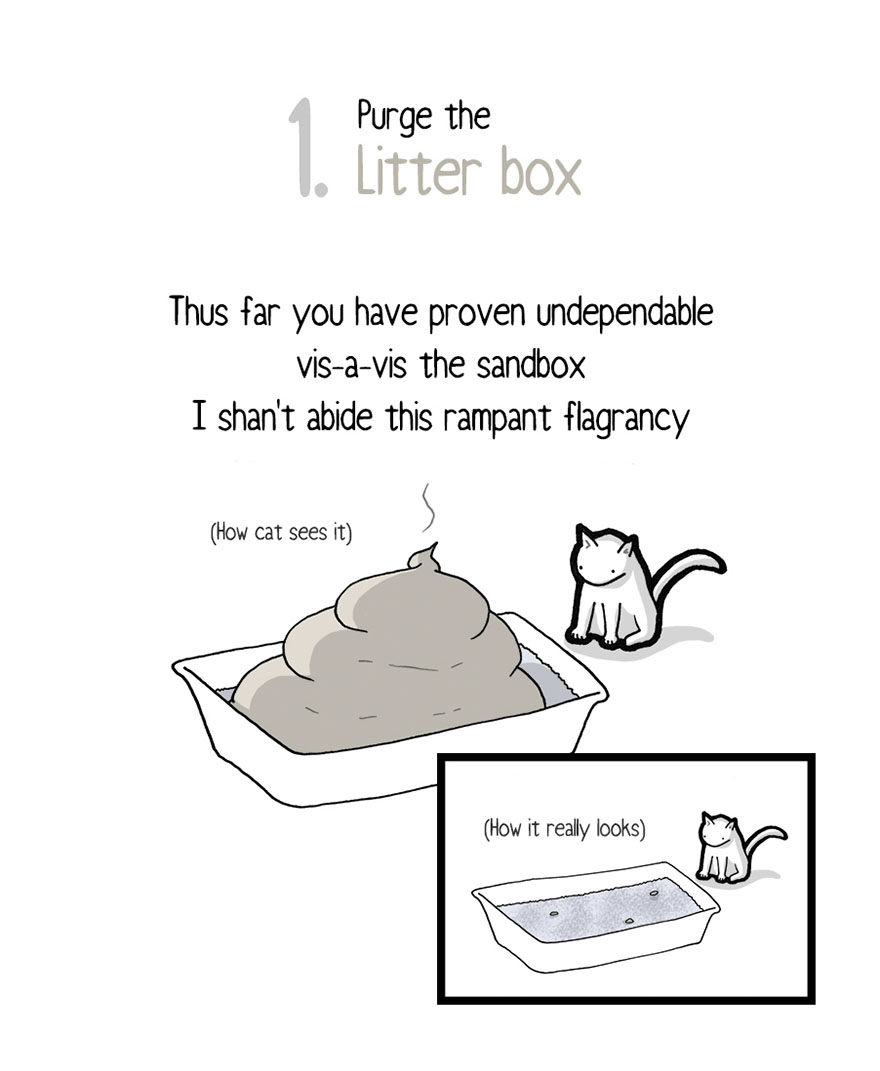 comic-letter-from-cat-things-in-squares-3-597aef8325b3b__880