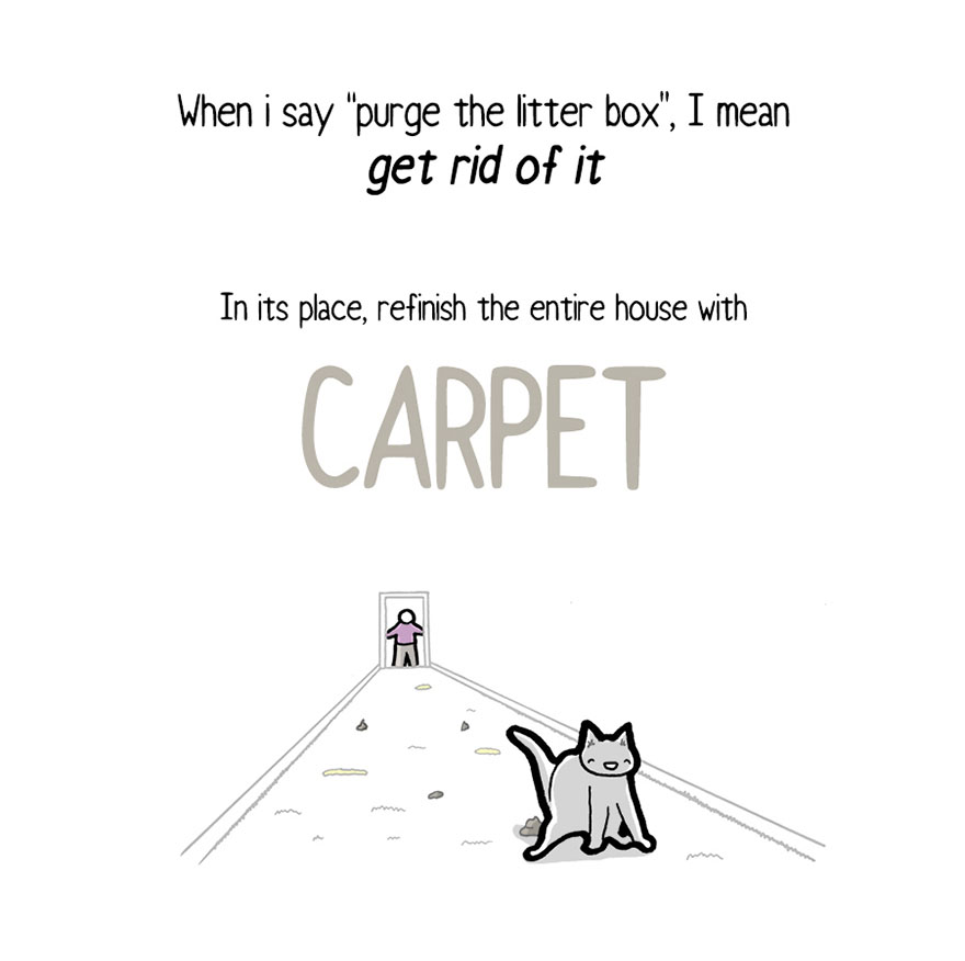 comic-letter-from-cat-things-in-squares-597aefcf46575__880