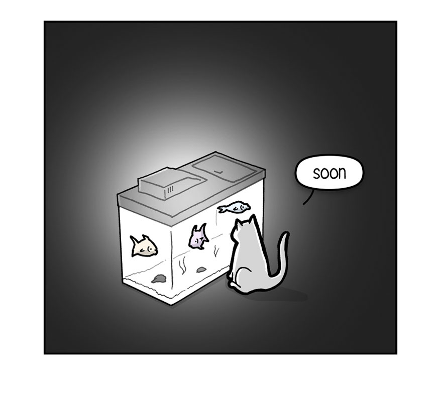 comic-letter-from-cat-things-in-squares-597af003b2a7a__880