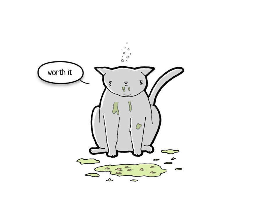 comic-letter-from-cat-things-in-squares-597af094914fa__880