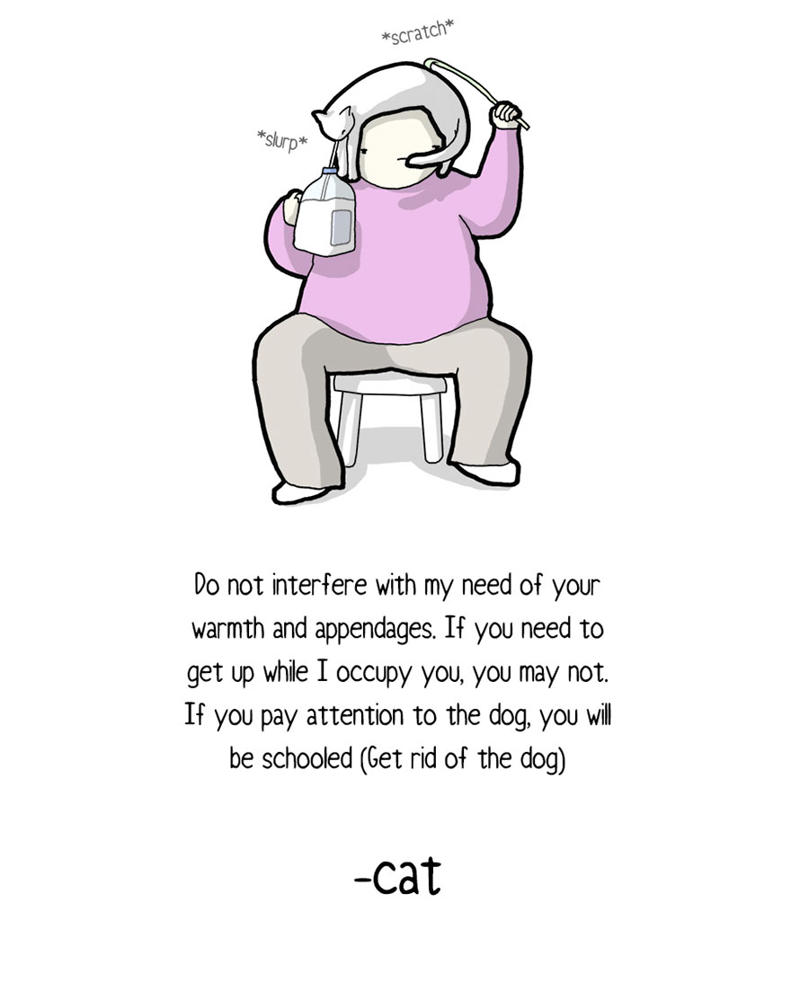 comic-letter-from-cat-things-in-squares-597af0aa919f3__880