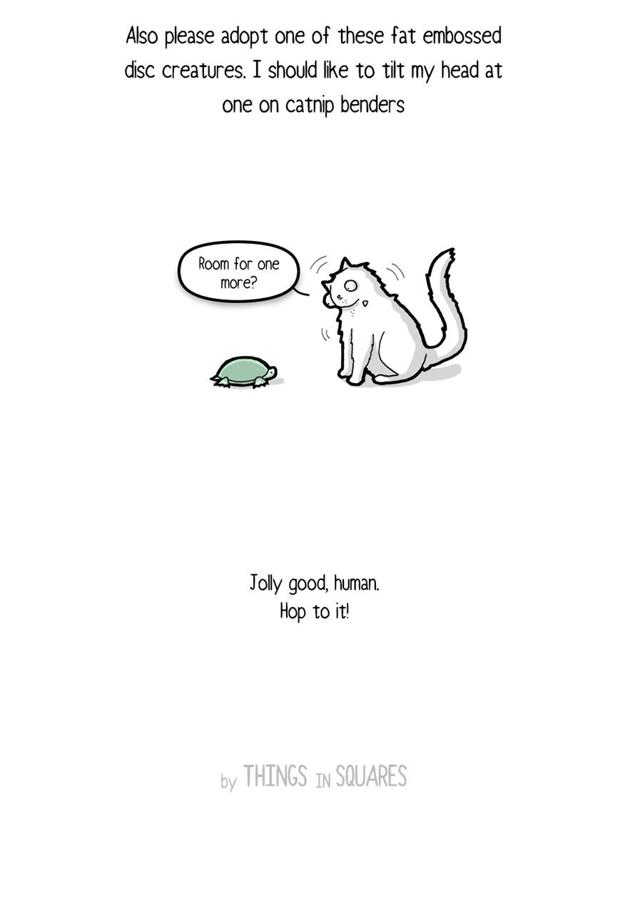 comic-letter-from-cat-things-in-squares-597af0b71a7bd__880