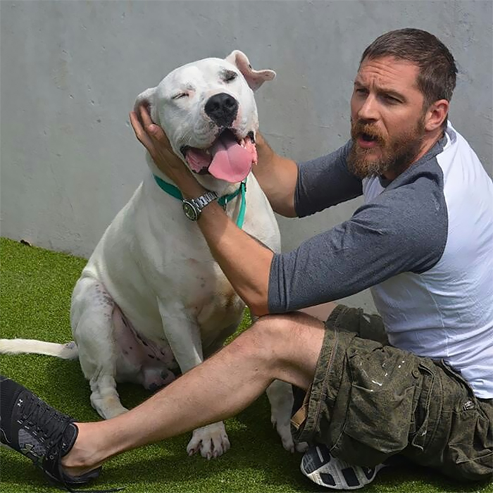 love-for-dogs-tom-hardy-21-59bf7f6fdcfbb__700