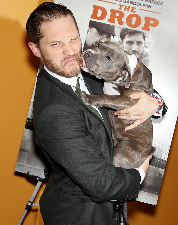 love-for-dogs-tom-hardy-25-59bf84c333bbe__700