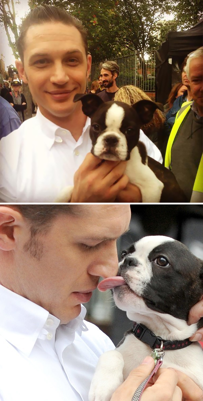 love-for-dogs-tom-hardy-27-59bf86f48bd7f__700