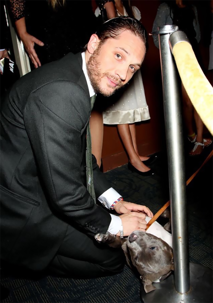 love-for-dogs-tom-hardy-30-59bf88f27c454__700