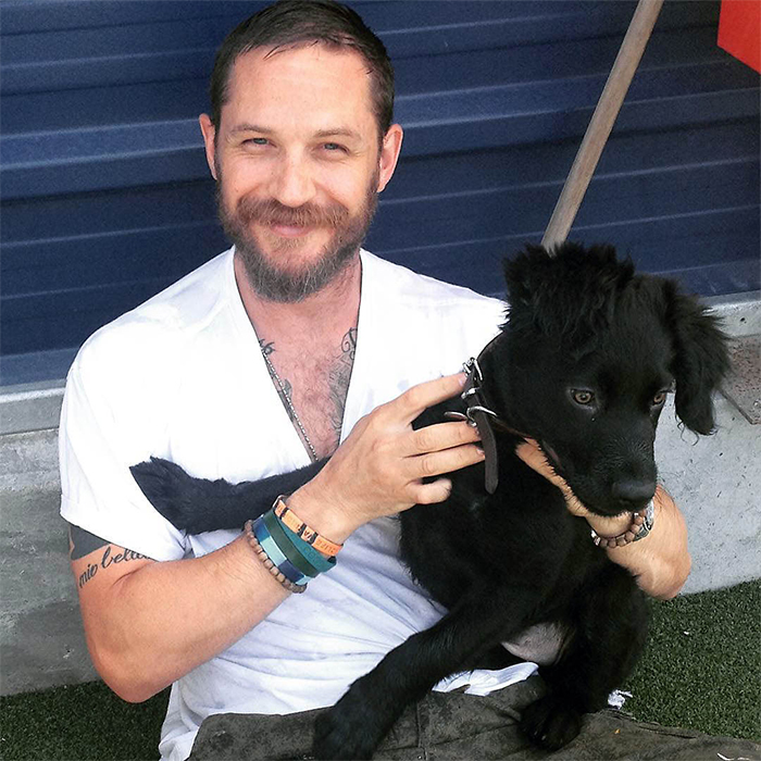love-for-dogs-tom-hardy-32-59bf897a1dd88__700