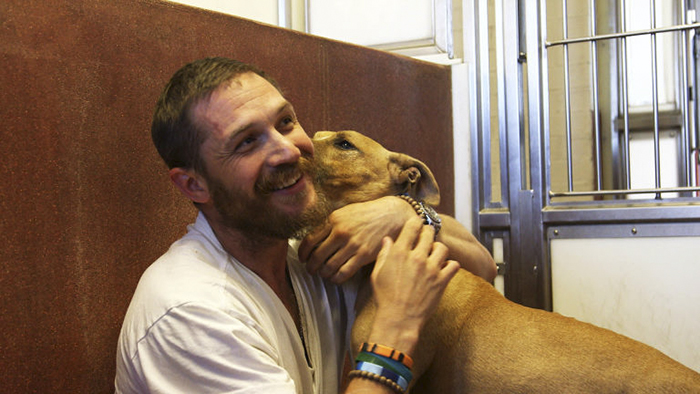 love-for-dogs-tom-hardy-59bf750877631__700