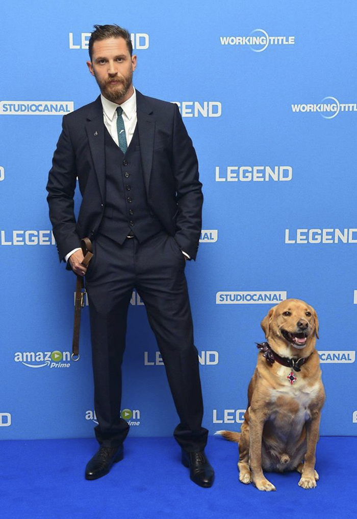 love-for-dogs-tom-hardy-59bf774005689__700