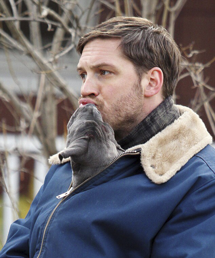 love-for-dogs-tom-hardy-8-59bf7279b94c6__700