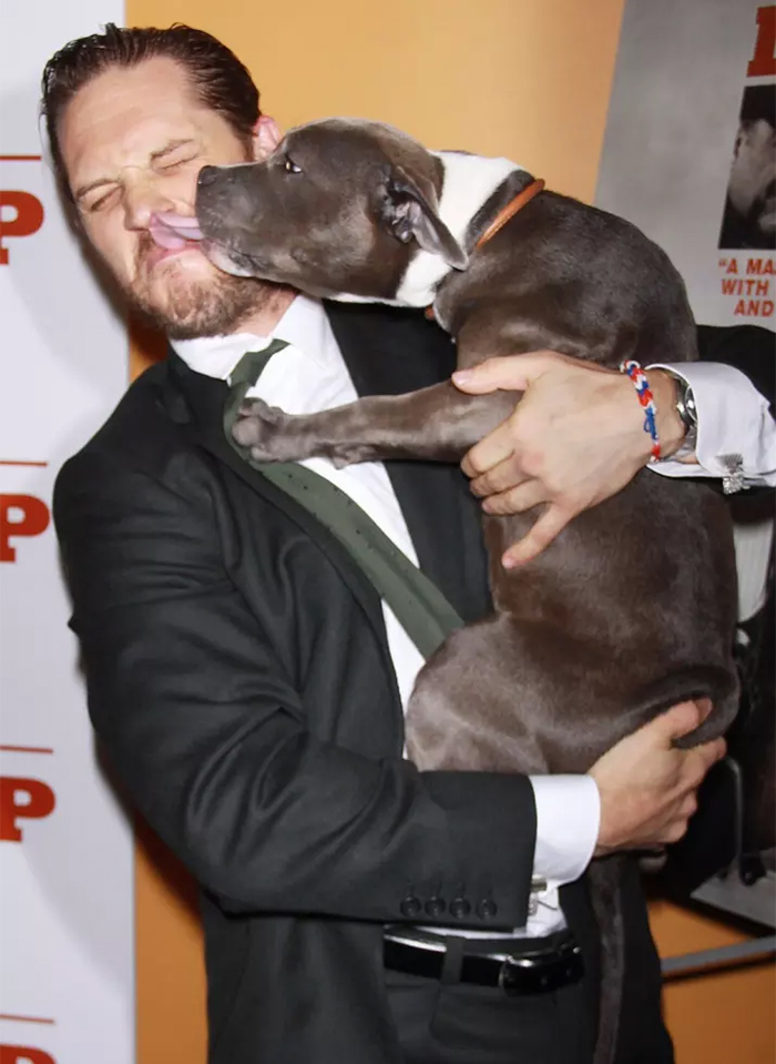 love-for-dogs-tom-hardy-9-59bf7380a1963__700