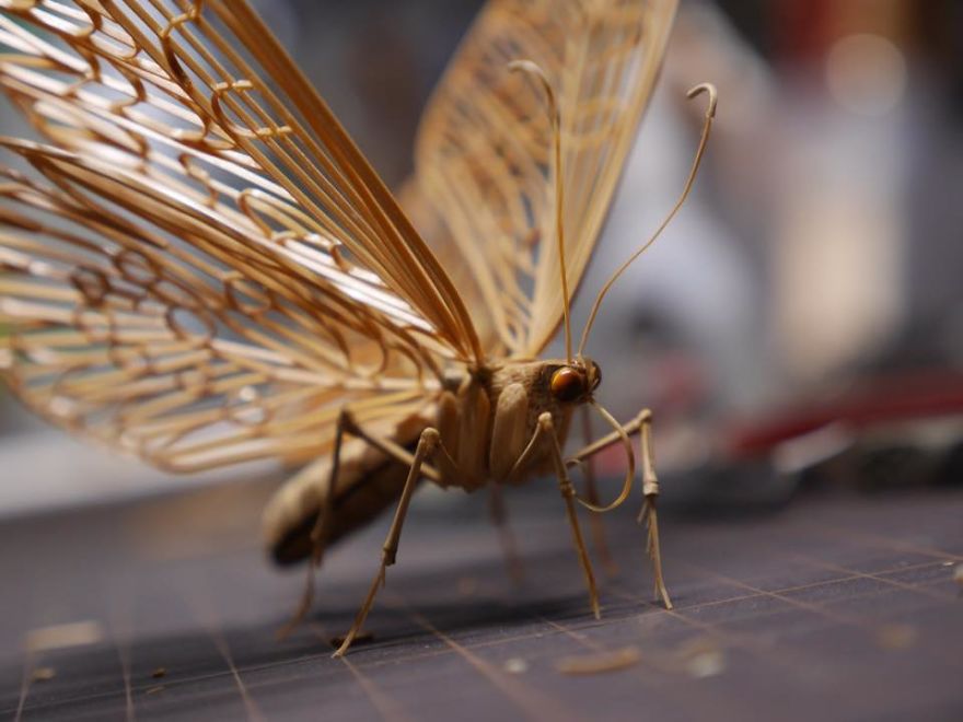 the-japanese-artist-who-creates-life-size-insects-exclusively-from-bamboo-will-impress-you-59e087b1be7e9__880