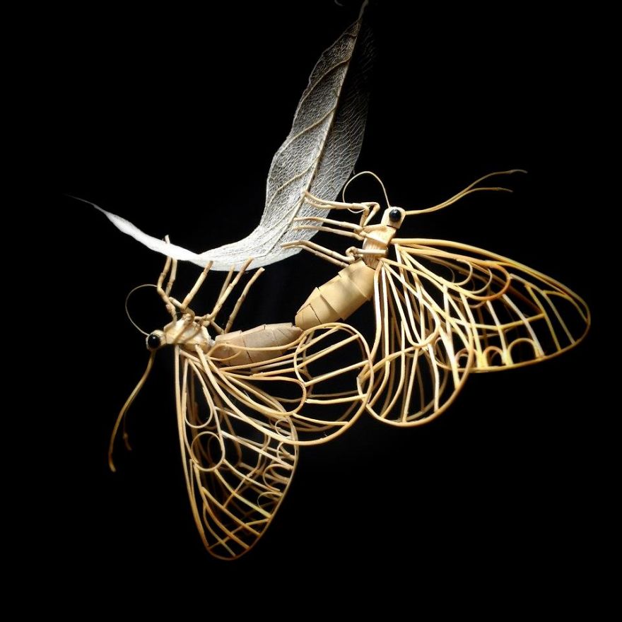 the-japanese-artist-who-creates-life-size-insects-exclusively-from-bamboo-will-impress-you-59e087b4399fc__880