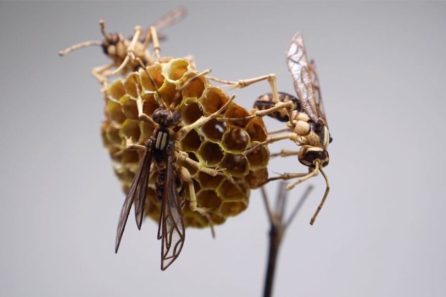 the-japanese-artist-who-creates-life-size-insects-exclusively-from-bamboo-will-impress-you-59e0884e5918b__880
