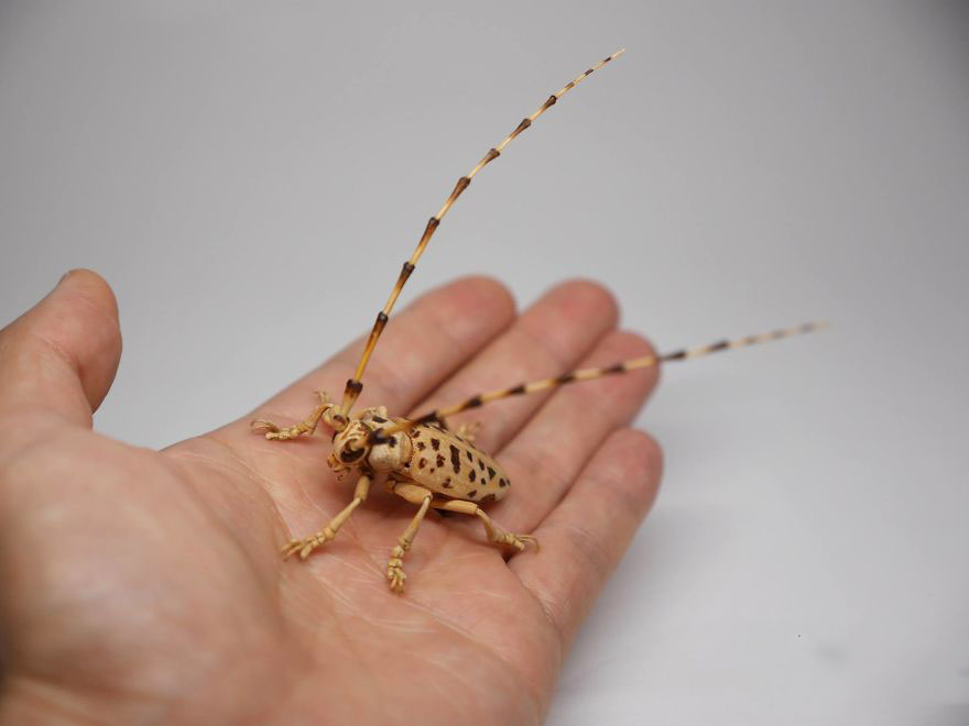 the-japanese-artist-who-creates-life-size-insects-exclusively-from-bamboo-will-impress-you-59e088547a307__880