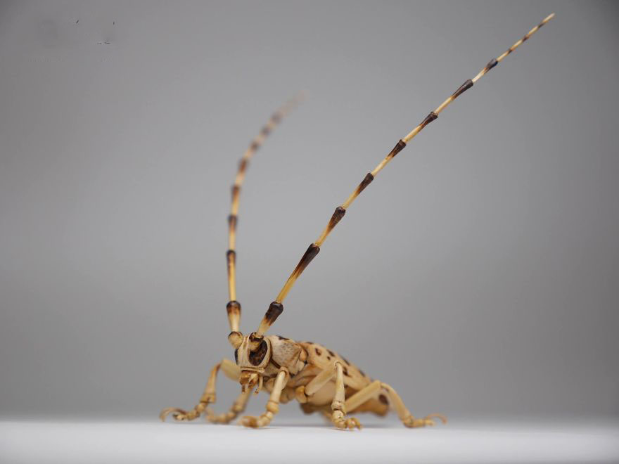 the-japanese-artist-who-creates-life-size-insects-exclusively-from-bamboo-will-impress-you-59e08856727c9__880