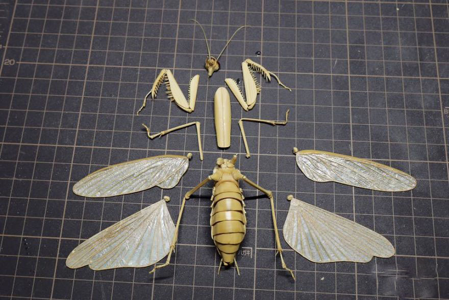 the-japanese-artist-who-creates-life-size-insects-exclusively-from-bamboo-will-impress-you-59e088587e083__880