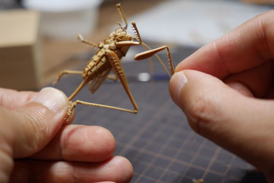 the-japanese-artist-who-creates-life-size-insects-exclusively-from-bamboo-will-impress-you-59e088606f37f__880