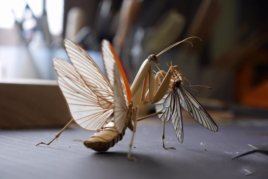 the-japanese-artist-who-creates-life-size-insects-exclusively-from-bamboo-will-impress-you-59e0898644207__880