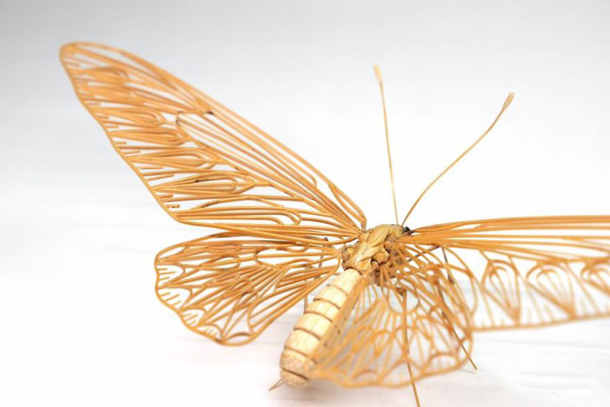 the-japanese-artist-who-creates-life-size-insects-exclusively-from-bamboo-will-impress-you-59e089f8d6d68__880