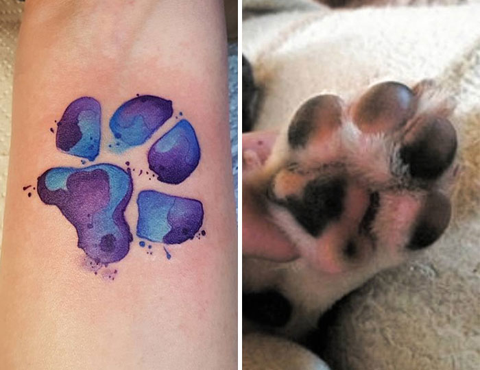 pet-paws-tattoos-300-59b8dd94dc84e__700
