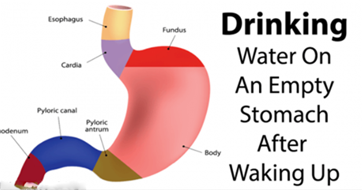 Drinking Water On Empty Stomach Immediately After Waking Up! us