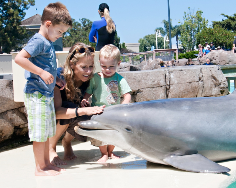 Sheryl Crow And Sons Visit SeaWorld San Diego