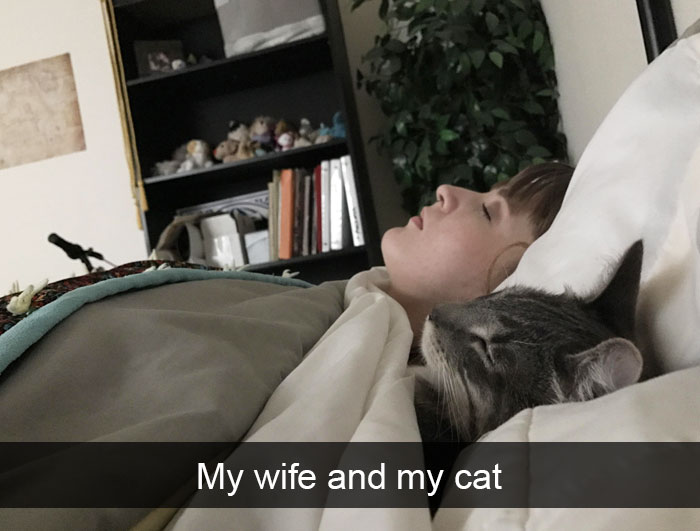 cats-funny-snapchats-100-5a1c0e01b14f2__700