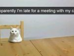 cats-funny-snapchats-5-5a17d7ce76280__700
