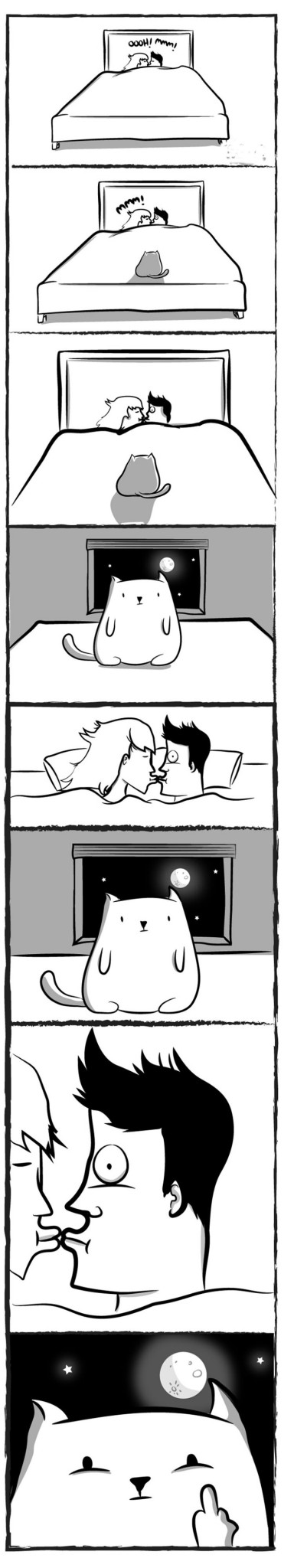funny-cat-comics-4