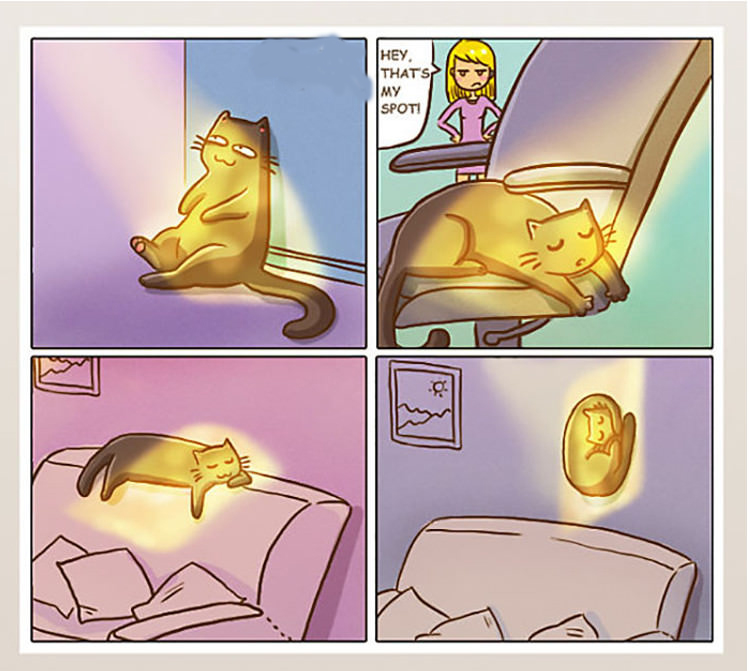 funny-cat-comics-5