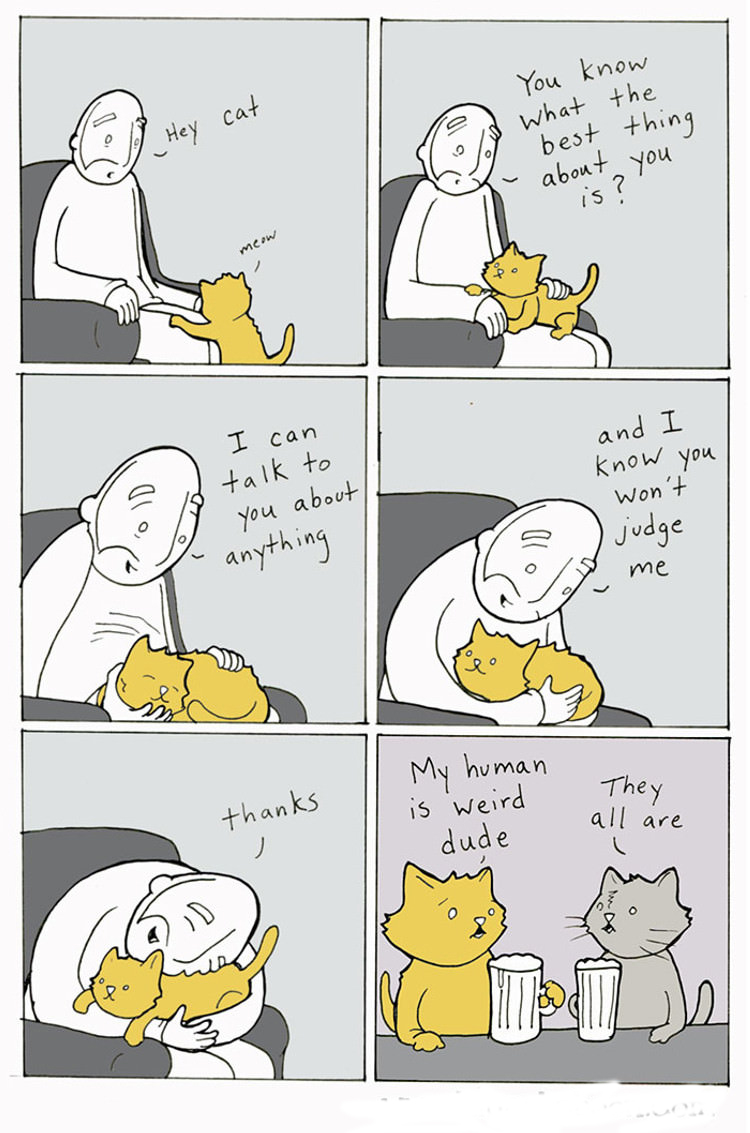 funny-cat-comics-7