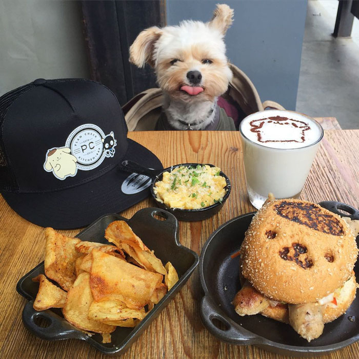 rescue-dog-restaurants-food-instagram-popeyethefoodie-39-5810582b1ce06__700