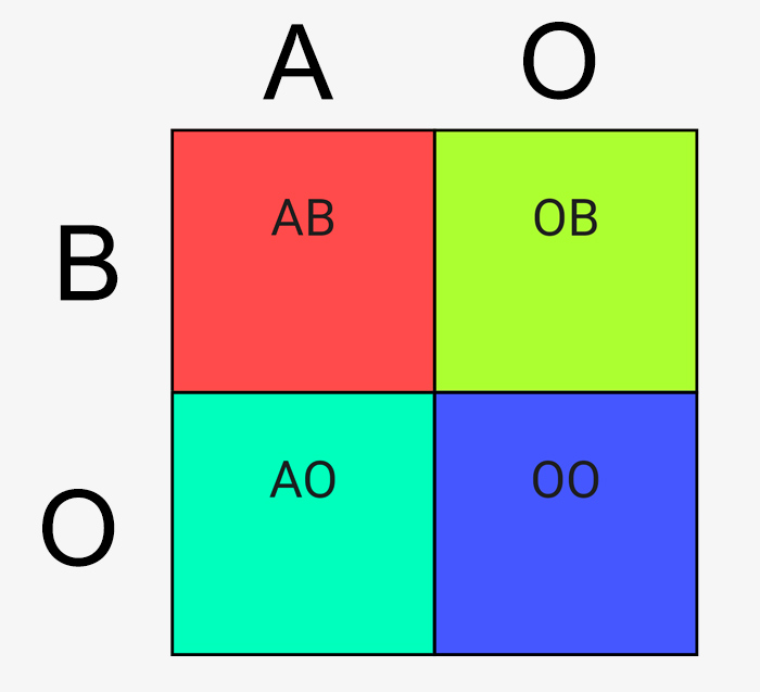 blood-type-punnett-square-biology-lecture-anyahettich-6