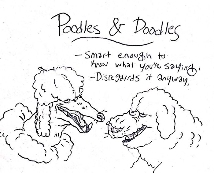dog-breeds-traits-guide-cartoons-grace-gogarty-20-5a8a7c9525ae7__700