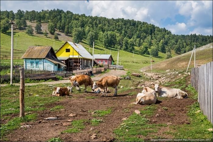 sravnenie_russkix_i_evropejskix_dereven_dejstvitelno_mozhet_vyzvat_silnye_emocii_ved_v_kazhdoj_iz_nix_otrazhaetsya_unikalnaya_kultura_tradicii_i_obraz_zhizni__toppositiv_ru-5